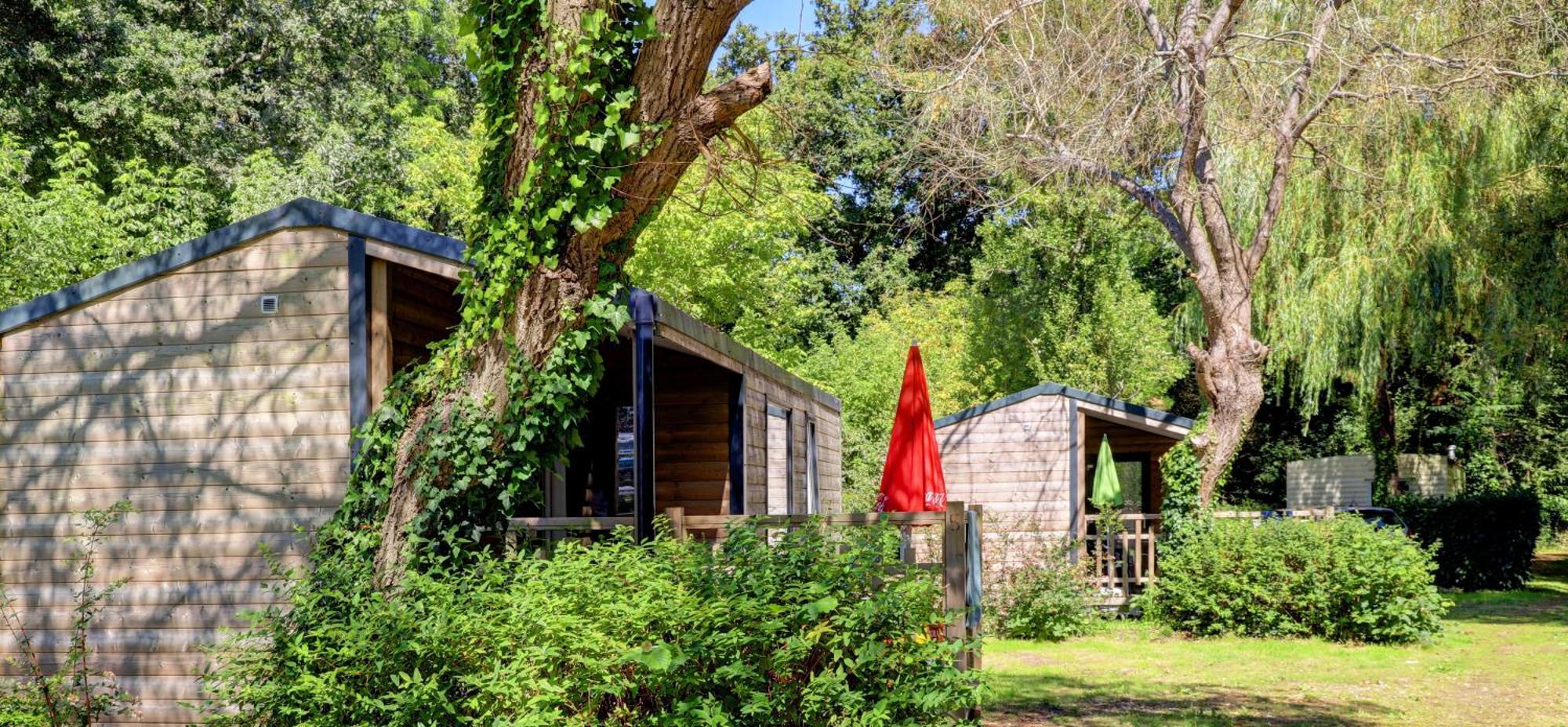 Camping De La Plage Benodet - 400 Metres De La Plage מראה חיצוני תמונה